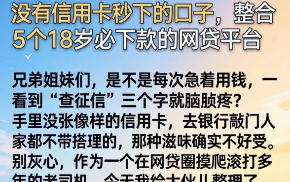 没有信用卡秒下的口子，整合5个18岁必下款的网贷平台