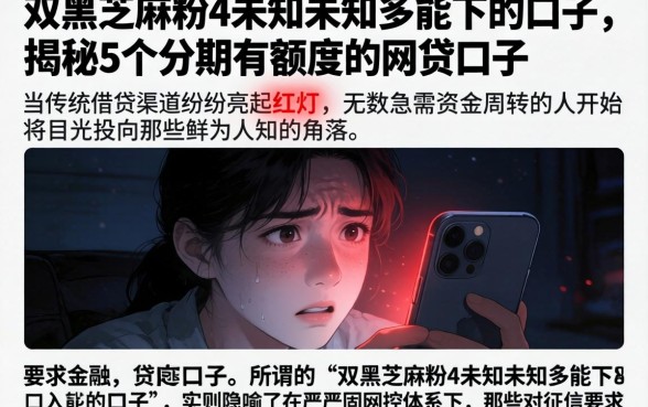 双黑芝麻粉4未知未知多能下的口子，揭秘5个分期有额度的网贷口子
