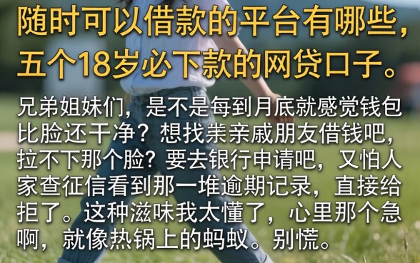随时可以借款的平台有哪些，详尽说明五个18岁必下款的网贷口子