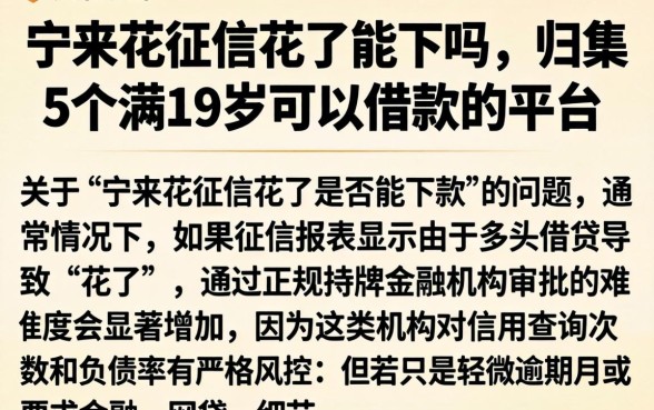 宁来花征信花了能下吗，归集5个满19岁可以借款的平台