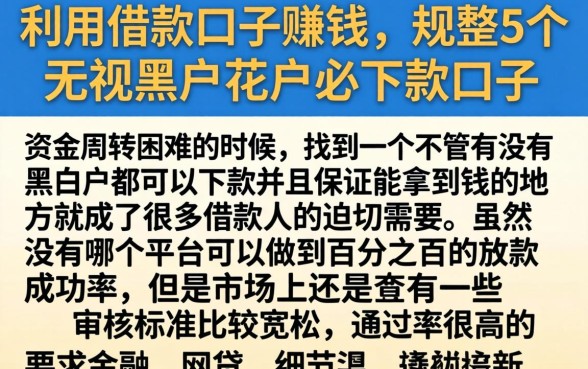 利用借款口子赚钱，规整5个无视黑户花户必下款口子
