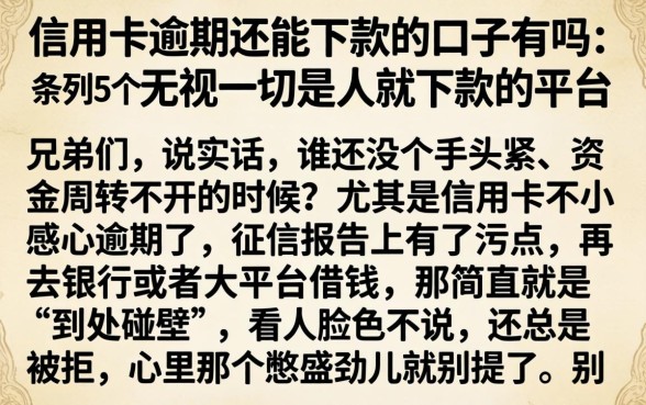 信用卡逾期还能下款的口子有吗，条列5个无视一切是人就下款的平台