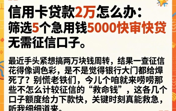 信用卡贷款2万怎么办，筛选5个急用钱5000快审快贷无需征信口子