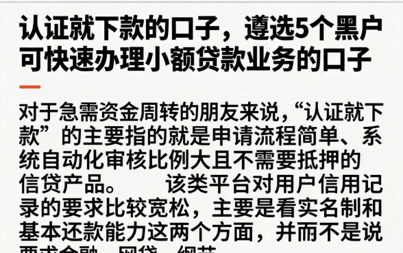 认证就下款的口子，遴选5个黑户可快速办理小额贷款业务的口子