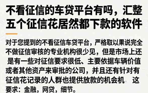 不看征信的车贷平台有吗，汇整五个征信花居然都下款的软件