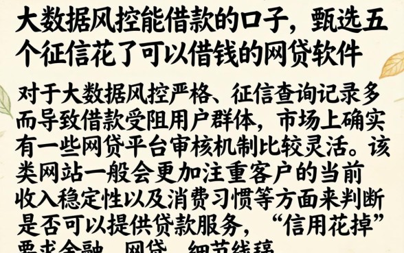 大数据风控能借款的口子，甄选五个征信花了可以借钱的网贷软件
