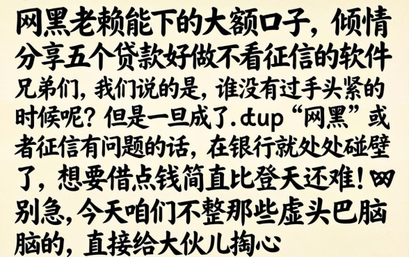 网黑老赖能下的大额口子，倾情分享五个贷款好做不看征信的软件