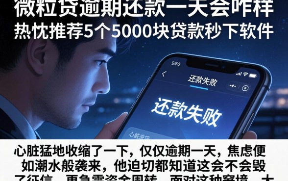 微粒贷逾期还款一天会咋样,热忱推荐5个5000块贷款秒下软件