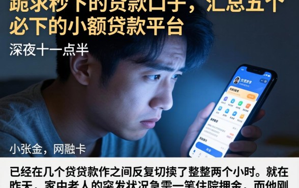 跪求秒下的贷款口子,汇总五个必下的小额贷款平台