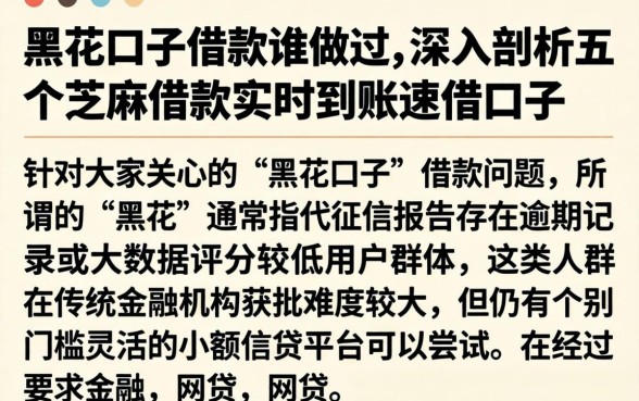 黑花口子借款谁做过，深入剖析五个芝麻借款实时到账速借口子
