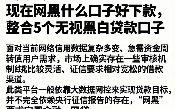 现在网黑什么口子好下款，整合5个无视黑白贷款口子