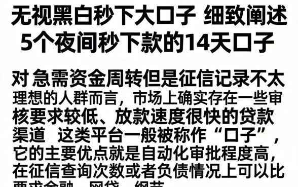 无视黑白秒下大口子，细致阐述5个夜间秒下款的14天口子