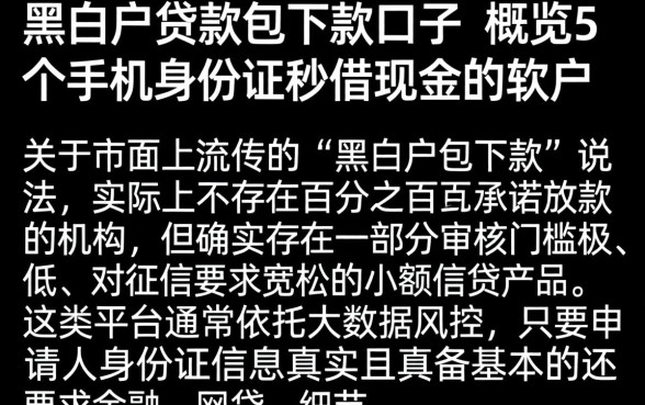 黑白户贷款包下款口子，概览5个手机身份证秒借现金的软件