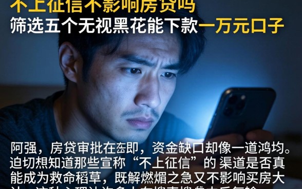 不上征信不影响房贷吗，筛选五个无视黑花能下款一万元口子