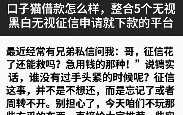 口子猫借款怎么样，整合5个无视黑白无视征信申请就下款的平台
