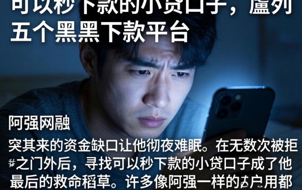 可以秒下款的小贷口子，胪列五个黑户下款平台