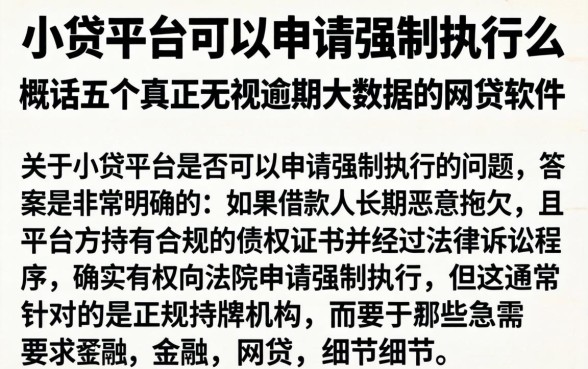 小贷平台可以申请强制执行么,概括五个真正无视逾期大数据的网贷软件