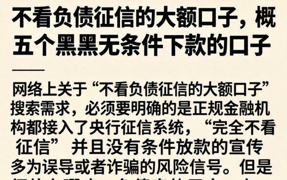 不看负债征信的大额口子，概括五个黑户无条件下款的口子