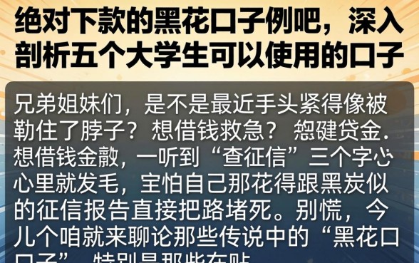 绝对下款的黑花口子贴吧，深入剖析五个大学生可以使用的口子