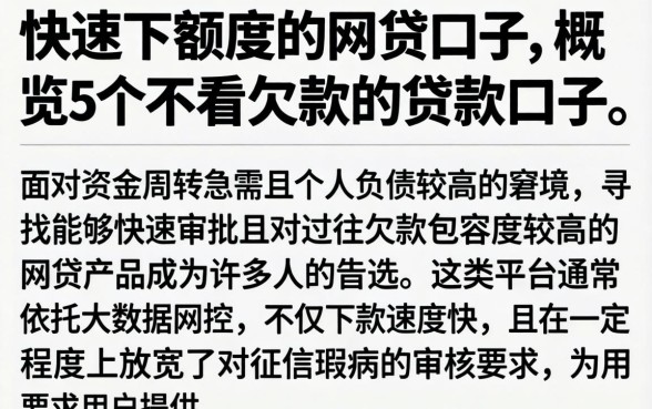 快速下额度的网贷口子，概览5个不看欠款的贷款口子