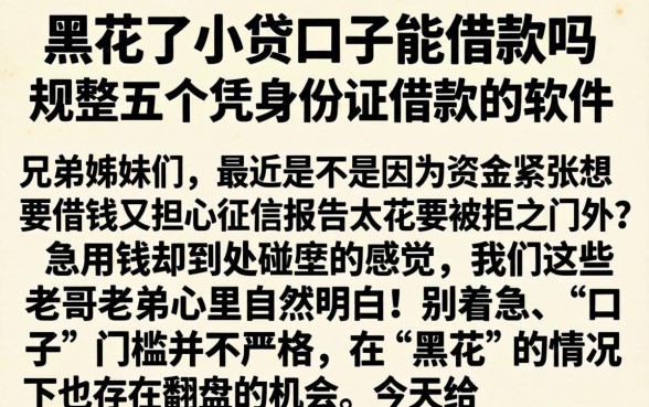 黑花了小贷口子能借款吗，规整五个凭身份证借款的软件