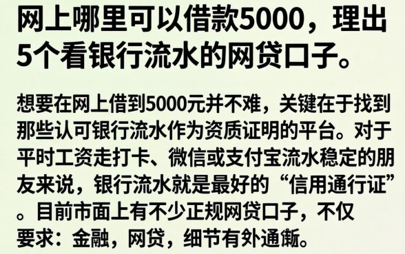 网上哪里可以借款5000，理出5个看银行流水的网贷口子