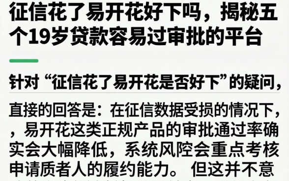 征信花了易开花好下吗，揭秘五个19岁贷款容易过审批的平台