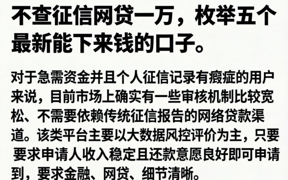 不查征信网贷一万，枚举五个最新能下来钱的口子