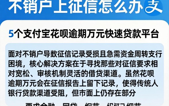 不销户上征信怎么办，详细阐述5个支付宝花呗逾期万元快速贷款平台