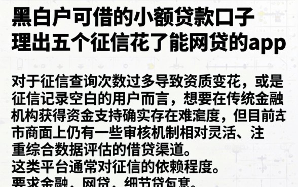 黑白户可借的小额贷款口子,理出五个征信花了能网贷的app