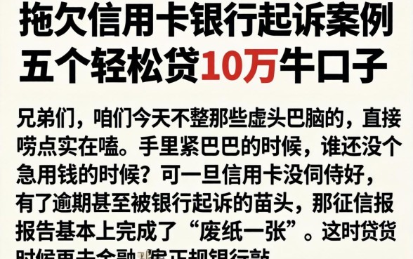 拖欠信用卡银行起诉案例，概括五个轻松贷10万的口子