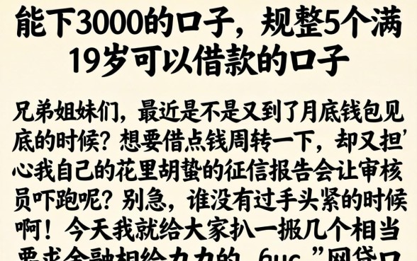 能下3000的口子,规整5个满19岁可以借款的口子