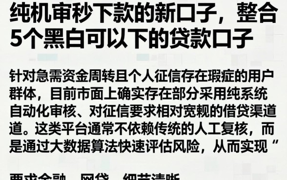 纯机审秒下款的新口子,整合5个黑户可以下的贷款口子