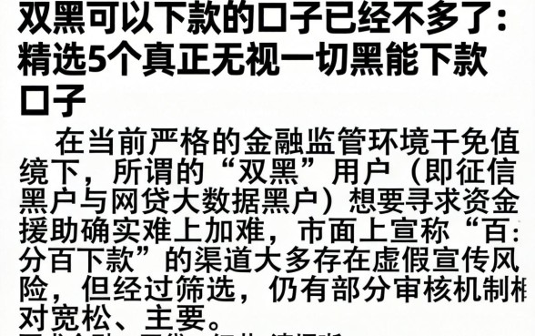双黑可以下款的口子已经不多了，精选5个真正无视一切黑能下款口子