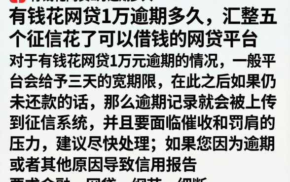 有钱花网贷1万逾期多久，汇整五个征信花了可以借钱的网贷平台