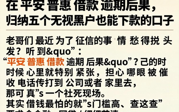 在平安普惠借款逾期后果，归纳五个无视黑户也能下款的口子