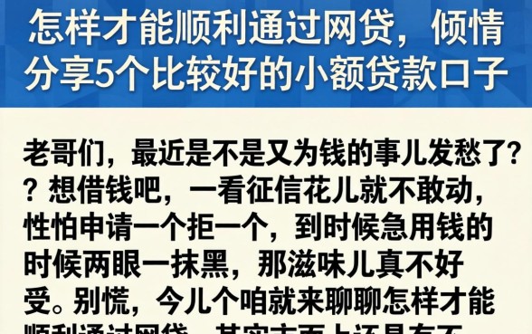 怎样才能顺利通过网贷，倾情分享5个比较好的小额贷款口子