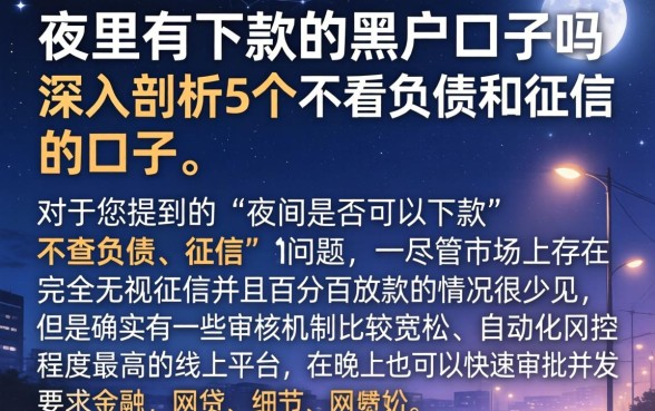 夜里有下款的黑户口子吗，深入剖析5个不看负债和征信的口子