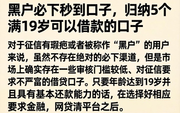 黑户必下秒到口子，归纳5个满19岁可以借款的口子
