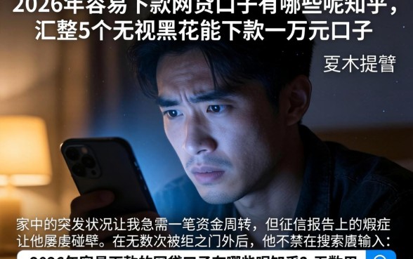2026年容易下款的网贷口子有哪些呢知乎，汇整5个无视黑花能下款一万元口子