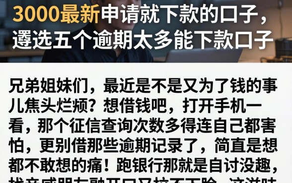 3000最新申请就下款的口子，遴选五个逾期太多能下款口子