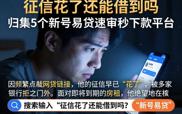 征信花了还能借到吗，归集5个新号易贷速审秒下款平台