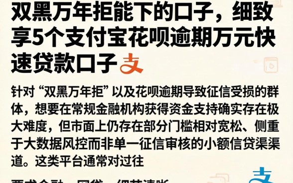 双黑万年拒能下的口子，细致阐述5个支付宝花呗逾期万元快速贷款口子