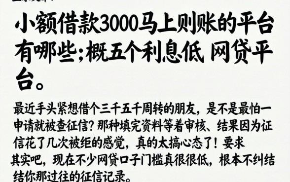 小额借款3000马上到账的平台有哪些，概括五个利息低的网贷平台