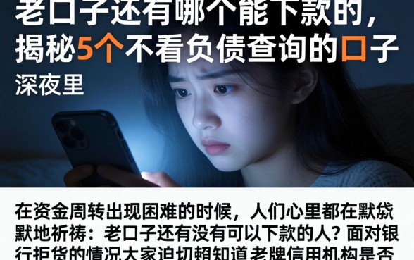 老口子还有哪个能下款的,揭秘5个不看负债查询的口子