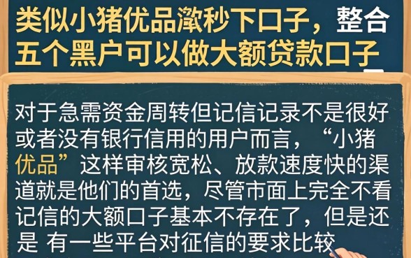 类似小猪优品的秒下口子，整合五个黑户可以做大额贷款口子