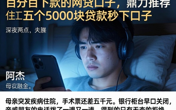 百分百下款的网贷口子，鼎力推荐五个5000块贷款秒下口子