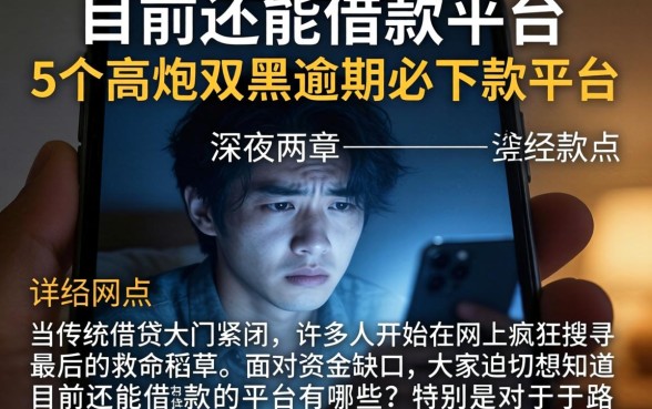 目前还能借款的平台,详尽说明5个高炮双黑逾期必下款平台