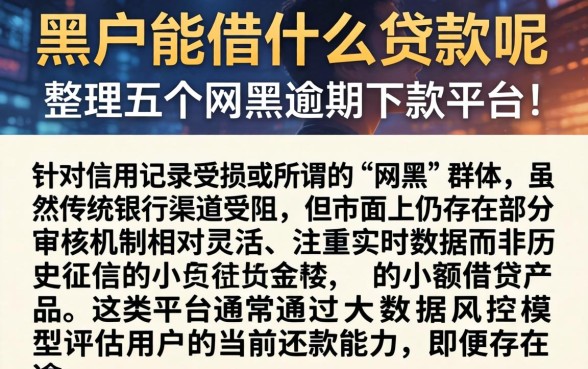 黑户能借什么贷款呢，整理五个网黑逾期下款平台