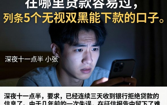 在哪里贷款容易过，条列5个无视双黑能下款的口子